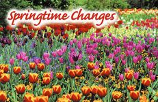 Clearance: Springtime Changes