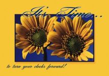 Clearance Real Estate 4-up Laser Postcards
