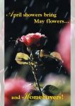 Clearance: Flower Homebuyers