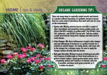 ReaMark Real Estate Marketing Postcards - Home Tips Real Estate Postcards