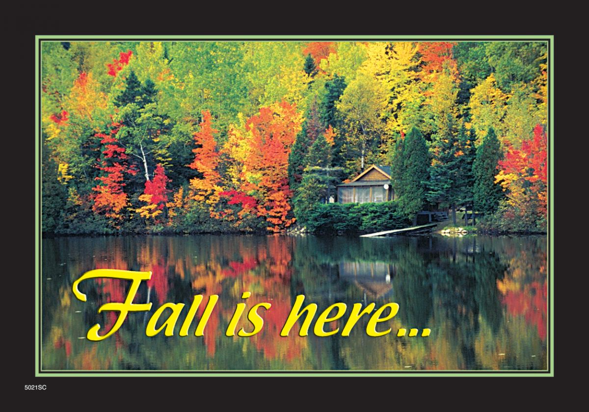 ReaMark Real Estate Postcards - Monthly Real Estate Prospecting Postcards