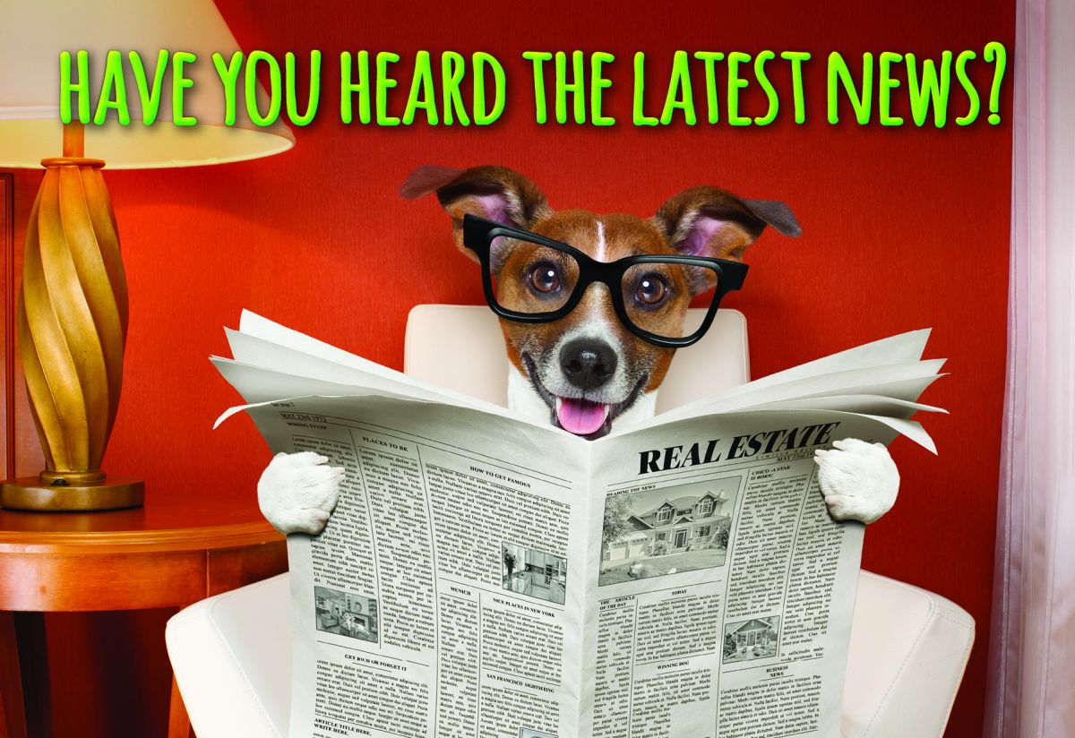 ReaMark Products: Dog Reads News