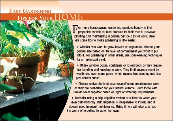 ReaMark Real Estate Marketing Postcards - Home Tips Real Estate Postcards