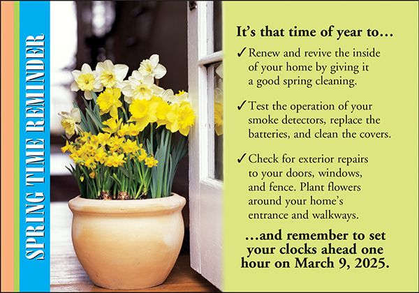 Spring Time Change Postcards: ST Daylight Savings