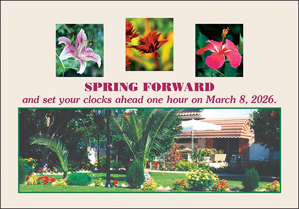 ReaMark Real Estate Postcards - Monthly Real Estate Prospecting Postcards