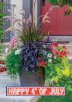 Monthly Selection/Jan-Dec: July 4th Patriotic Plant
