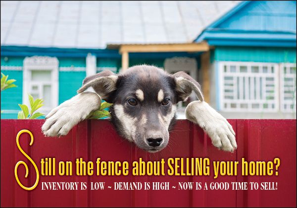 ReaMark Products: Dog On Fence Selling