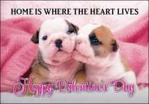 Holiday Cards: Valentine's Dogs