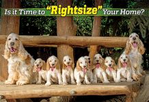 ReaMark Products: Rightsize Dog Family