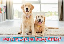 ReaMark Products: Housing Market Dogs