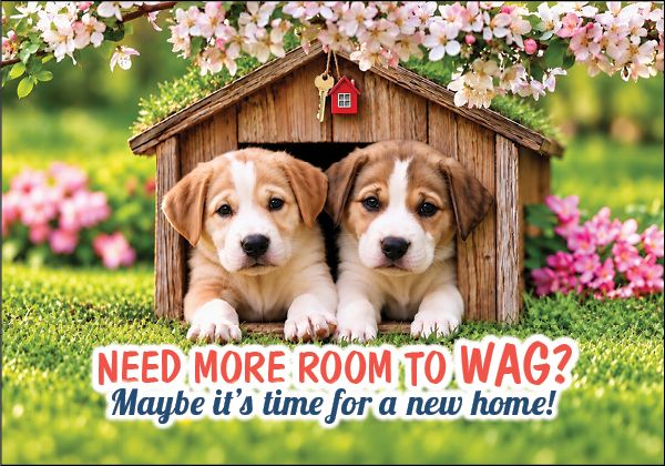 Real Estate Postcards 