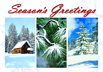 Real Estate Postcards