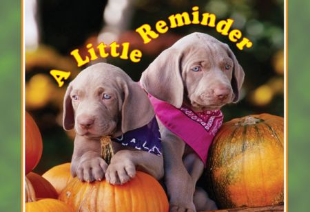 ReaMark Products: Puppy Reminder