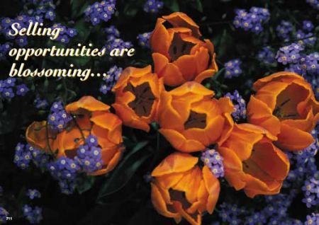 ReaMark Real Estate Postcards - Monthly Real Estate Prospecting Postcards