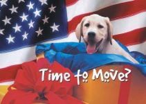 Monthly Selection/Jan-Dec: July: Moving Dog