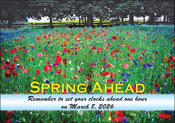 ReaMark Real Estate Postcards - Monthly Real Estate Prospecting Postcards