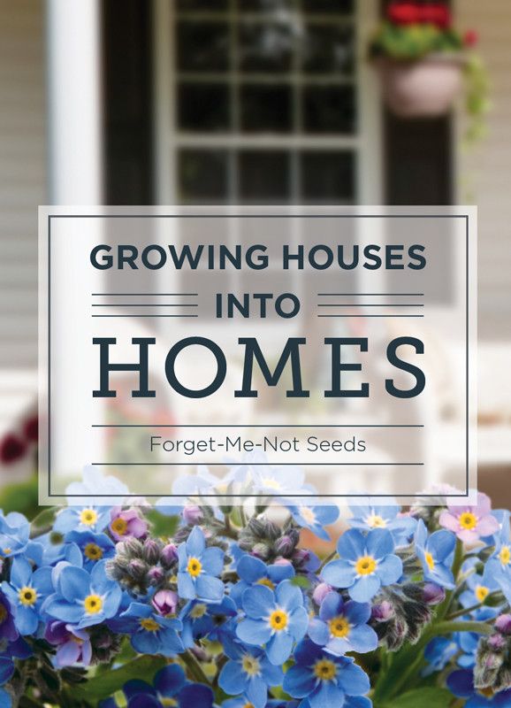 Promotional: Growing Houses Into Homes Seed Packet