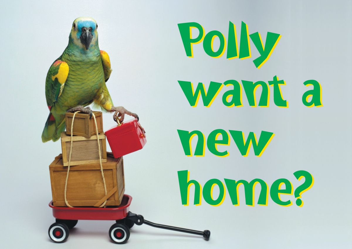 Clearance Real Estate Marketing Products | ReaMark™